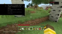 Minecraft survival  gameplay (17)