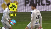 But Martin TERRIER (90ème  2) / Dijon FCO - RC Strasbourg Alsace - (1-1) - (DFCO-RCSA) / 2017-18