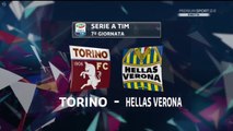 All Goals & highlights - Torino 2-2 Verona - 01.10.2017