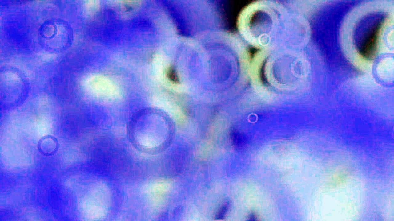 Blue abstract cicles - HD animated background loop video, animation,free download