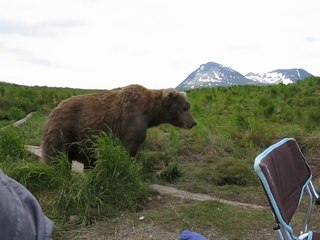 bear sits next to guy!!