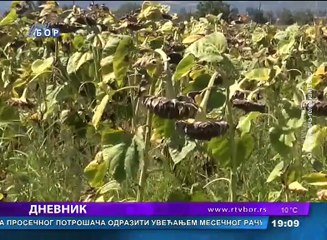 Dnevnik, 01. oktobar  2017 (RTV Bor)