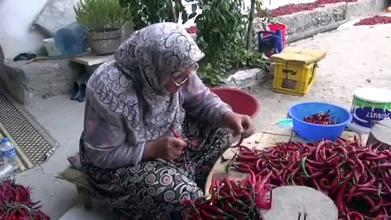 BİLECİK'İN ACI AMA TATLI BİBERİ