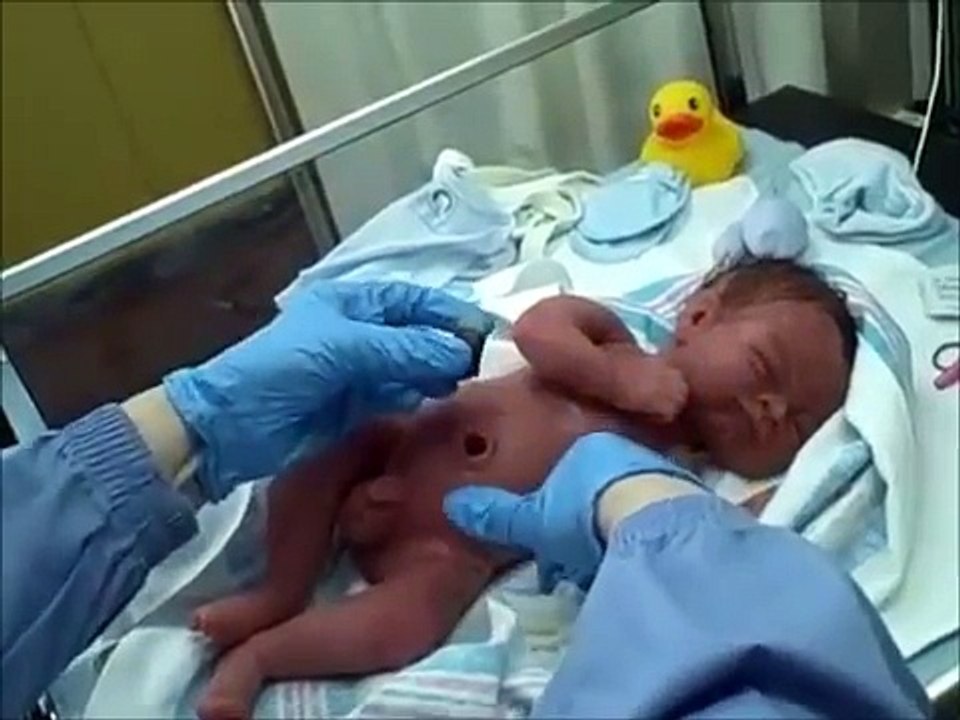 Newborn Baby Jack ~ Birds & Bees Nursery.wmv