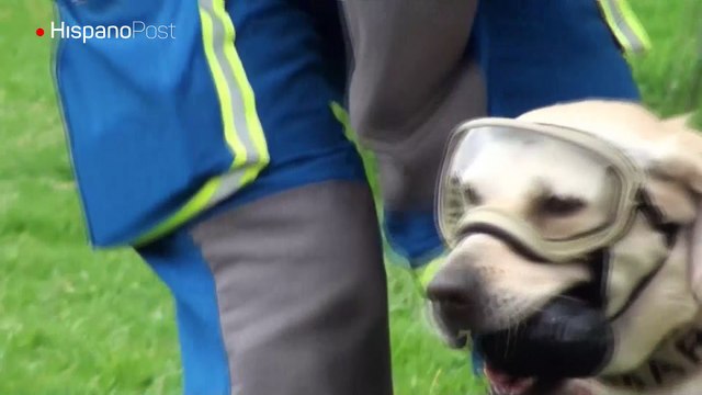 Frida, la rescatista más famosa de México