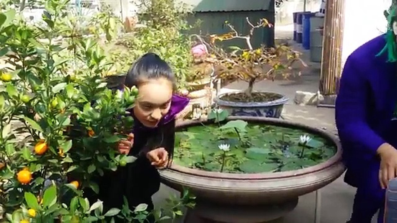 1.2..3. Joker vs Witch threw Masha Into a Lake Water??? Spiderman and Ninja rescue Masha