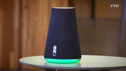 인공지능 스피커에 말하면 서비스가 '척척' / YTN