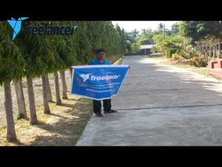 Freelancer expose the logo (2017)