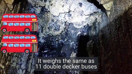 A fatberg the size of 2 football pitches was found in London's sewers