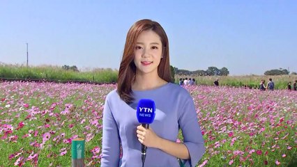 [날씨] 내륙 맑지만 해상은 비바람...곳곳 풍랑특보 / YTN