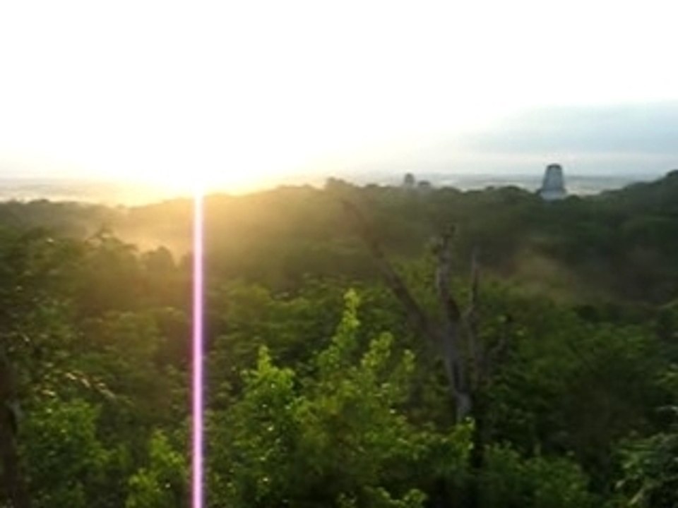 Vue de Tikal du tempe IV