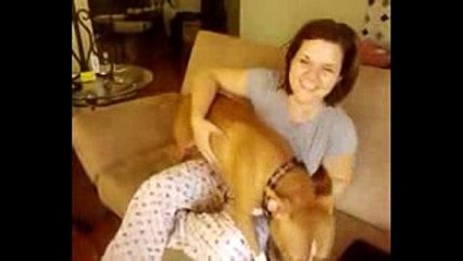 Funny Dog Give Super Kiss to Cute Girl
