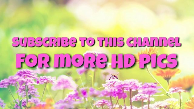 Chetana Uttej latest hot photoshoot pics _SA Pics