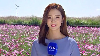 [날씨] 내륙 맑지만 해상은 비바람...곳곳 풍랑특보 / YTN