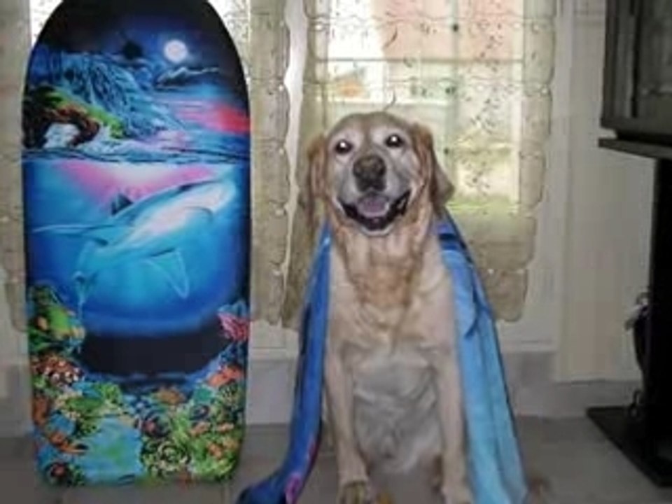 Mes animaux
