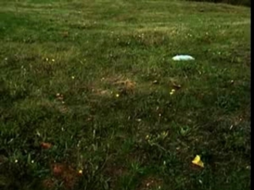 Intro 2