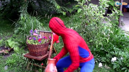 FIRE BREATHING FROZEN ELSA vs SPIDERMAN FIREMAN w/ Spidergirl vs Joker & Maleficent - Superhero Fun