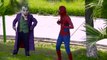 Frozen Elsas Dress is MISSING - Spiderman vs Witch - Joker Love Elsa Superhero Funny Pranks