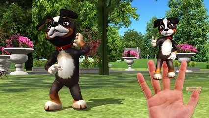 Wild animals Finger Family Rhymes Lion Monkey Tiger Colors Gorilla Nursery Songs for Children 3D