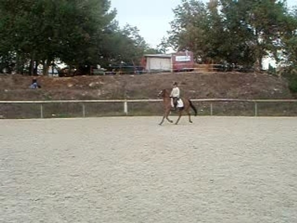 PB070090