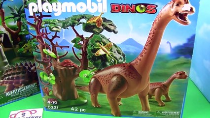 Playmobil Dinos! Exploding Volcano, T-Rex, Baby Dino and More!