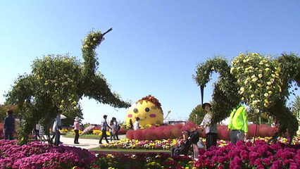 쾌청한 가을 연휴 만끽..."꽃밭으로 산으로" / YTN