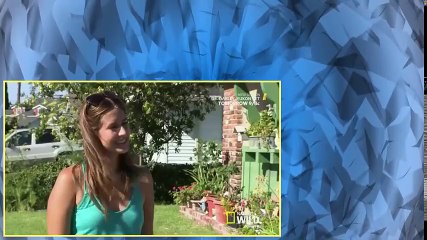 Cesar 911 S03E05 The Escape Artist
