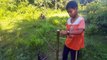 Awesome Quick Bird Trap (That Work 100%) - Birds Trap Alive In Cambodia Use by Smart Boys