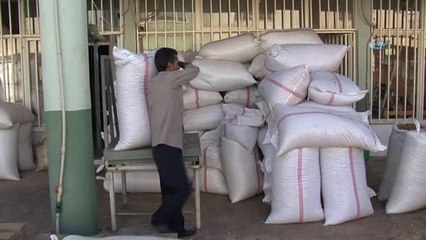 Gaziantep'te 500 Milyon TL'lik Fıstık Vurgunu