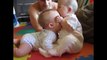 Twin Babies Funny; Twin Babies Cute; Twin Babies Fight compilatin new