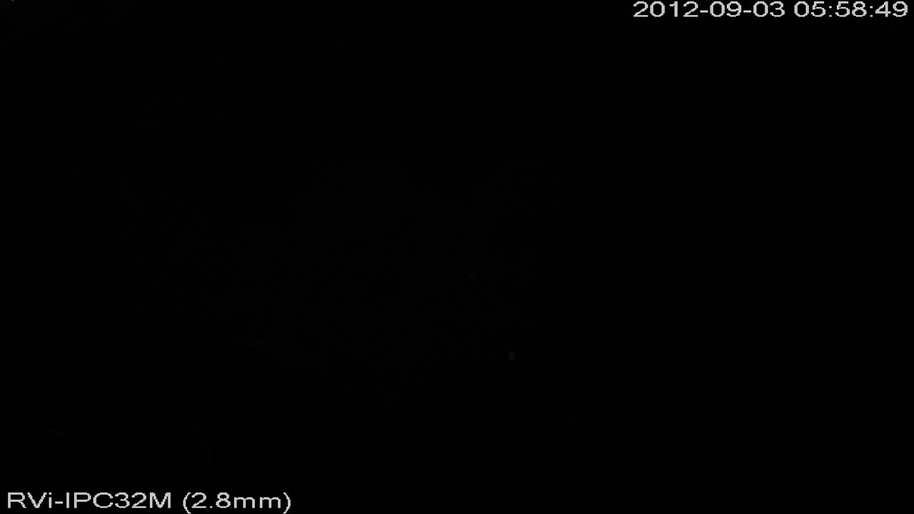 RVi-IPC32M(2.8mm)_Night