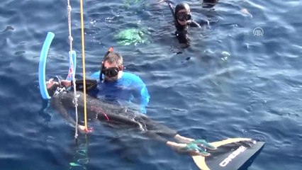 Cmas Serbest Dalış Outdoor Avrupa Şampiyonası