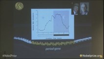 Los Nobel premian a los investigadores del 