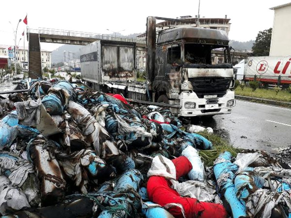 2 Kişinin Öldüğü Kazanın Ardından TIR'ı Ateşe Verdiler