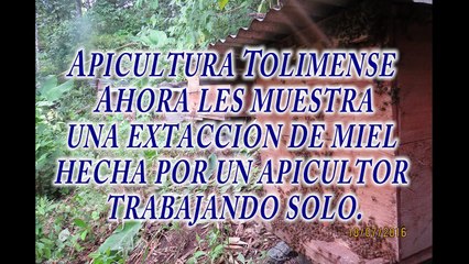 Como sacar miel de abejas