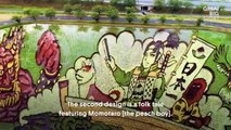 Ce petit village japonais colore ses rizières pour créer des dessins géant et relancer le tourisme