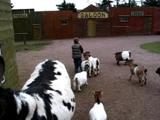 zoo Toussaint 2007 214