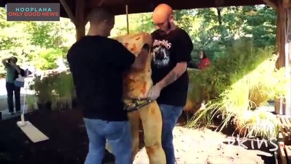 Unique Art From Everyday Objects