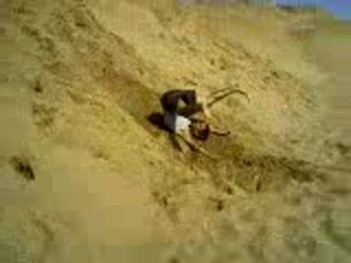 Salto arriere