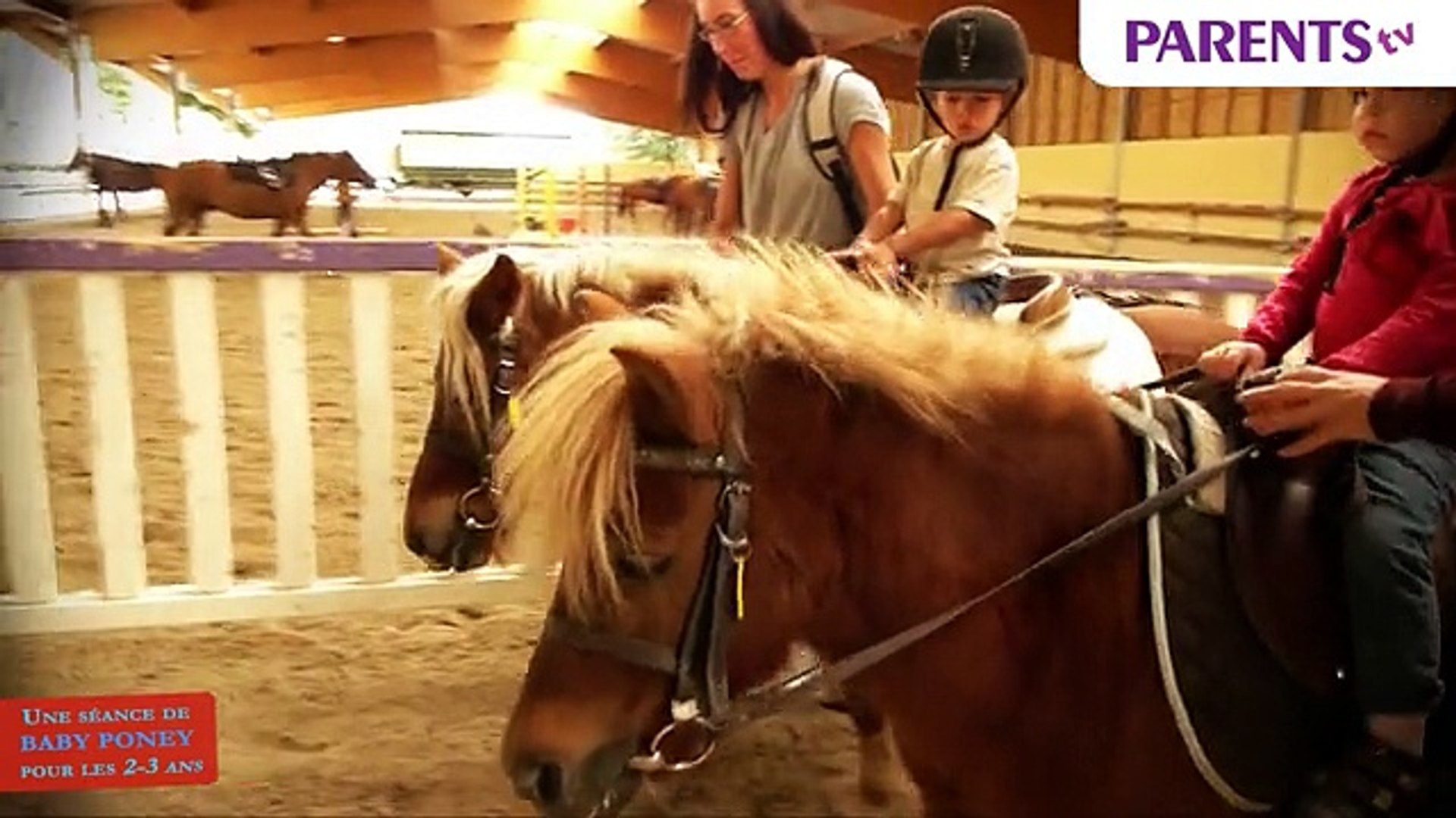 Une Seance De Baby Poney Pour Les 2 3 Ans Video Dailymotion
