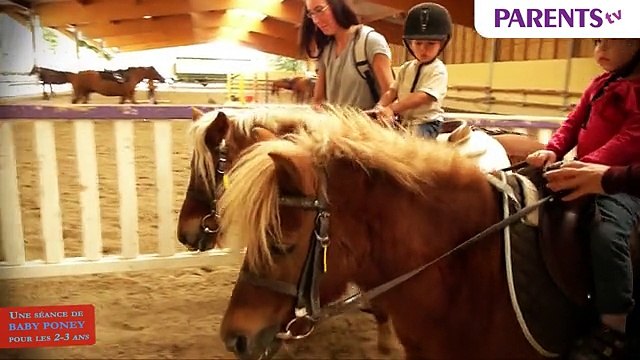 Une séance de baby-poney pour les 2-3 ans
