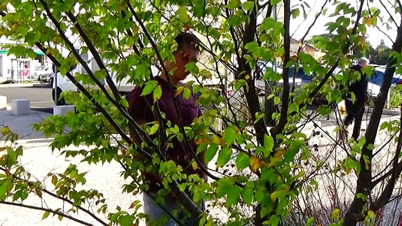 Angélique Marquise des Langes : Les toilettes des filles