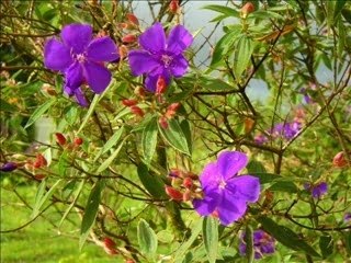 L'atelier d'Art Floral