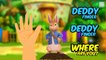 Baby Kids Song - Peter Rabbit Finger Family Nursery Rhymes For Children   A&E Channel