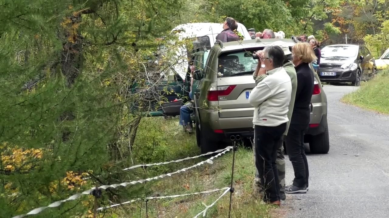 D!CI TV : nouveaux tirs de mines à Méolans-Revel sur fond de polémique