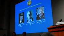 Premio Nobel para tres estadounidenses que investigan el reloj biológico