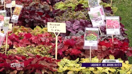 Juste Avant de Zapper du Lundi 02 Octobre 2017