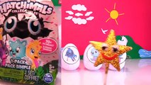 Find HATCHIMALS COLLEGGTIBLES in Hatchtopia Spinning Wheel Game with Surprise Eggs Toys