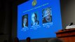 Three US scientists win 2017 Nobel medicine/physiology prize for their work on circadian rhythms