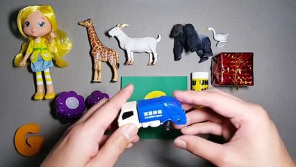 Words that start with G | Learn alphabet G with common toys!